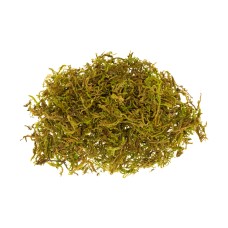 Dry moss - 30 gms