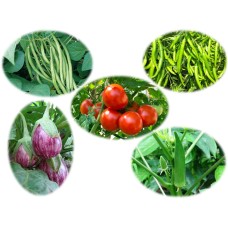 Fruiting vegetables mix seeds (5 types) - 20 gms